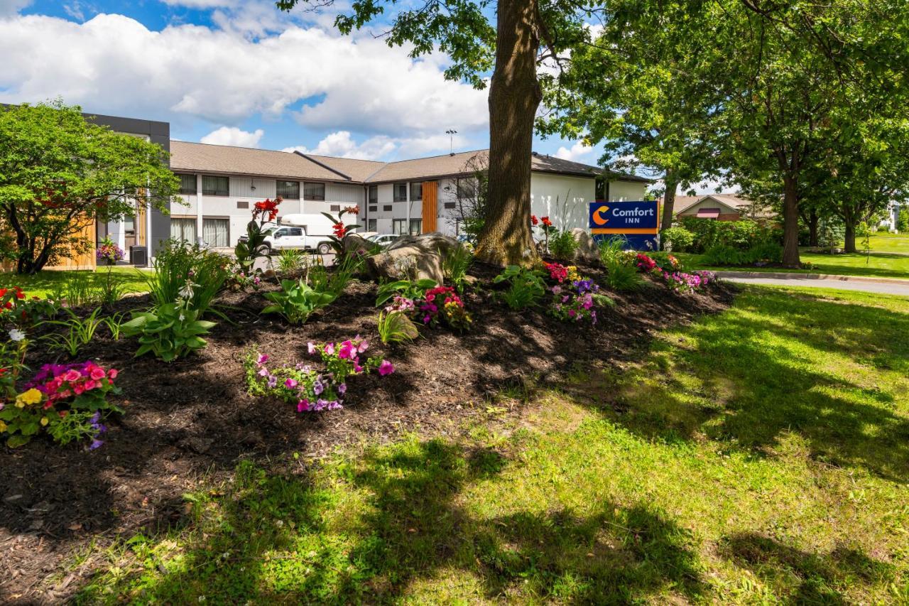 Comfort Inn West Отава Екстериор снимка